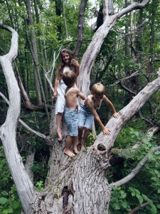 kids climbing tree learning unit study