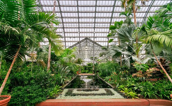 visiting the botanical gardens in Indianapolis